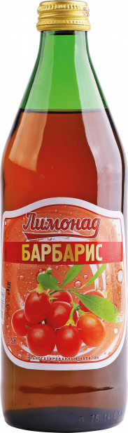 Барбарис